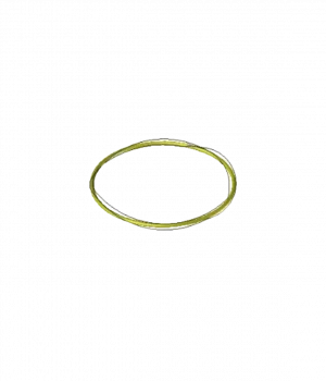 C27620 -ANEL ORING DIAM. 63.22